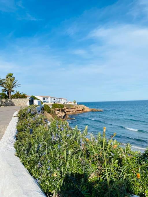 Casa De Flores Torrevieja Buitenkant foto